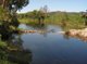 Photo - Lot 2 Olivettas Road, Bloomsbury QLD 4799 - Image 1