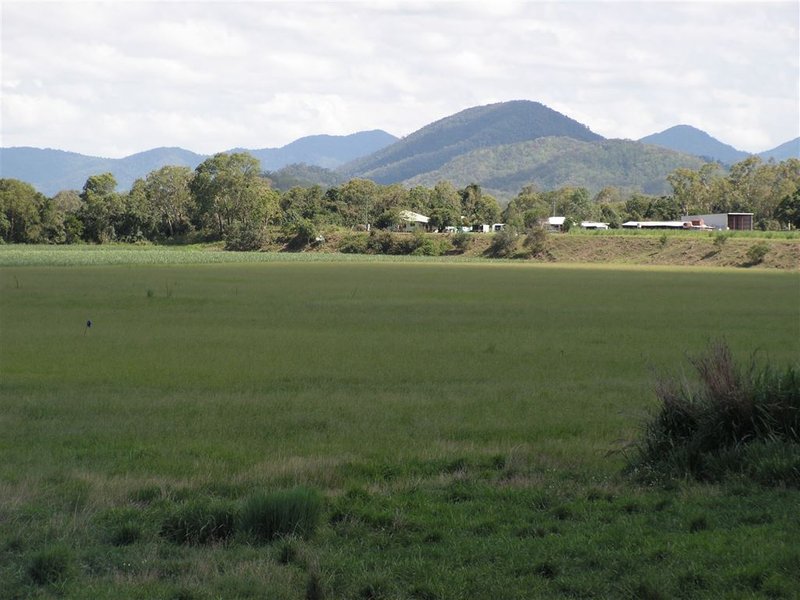 Photo - Lot 2 Olivettas Road, Bloomsbury QLD 4799 - Image 2