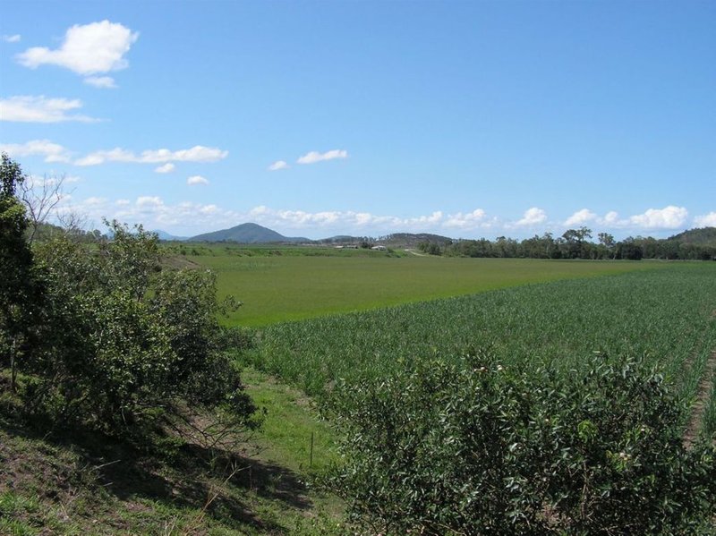 Photo - Lot 2 Olivettas Road, Bloomsbury QLD 4799 - Image 4