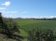 Photo - Lot 2 Olivettas Road, Bloomsbury QLD 4799 - Image 4