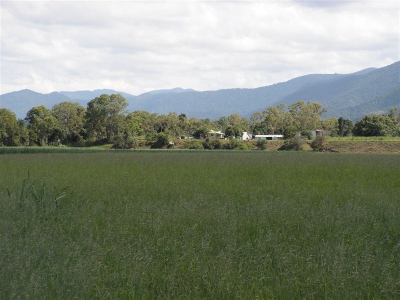 Photo - Lot 2 Olivettas Road, Bloomsbury QLD 4799 - Image 6