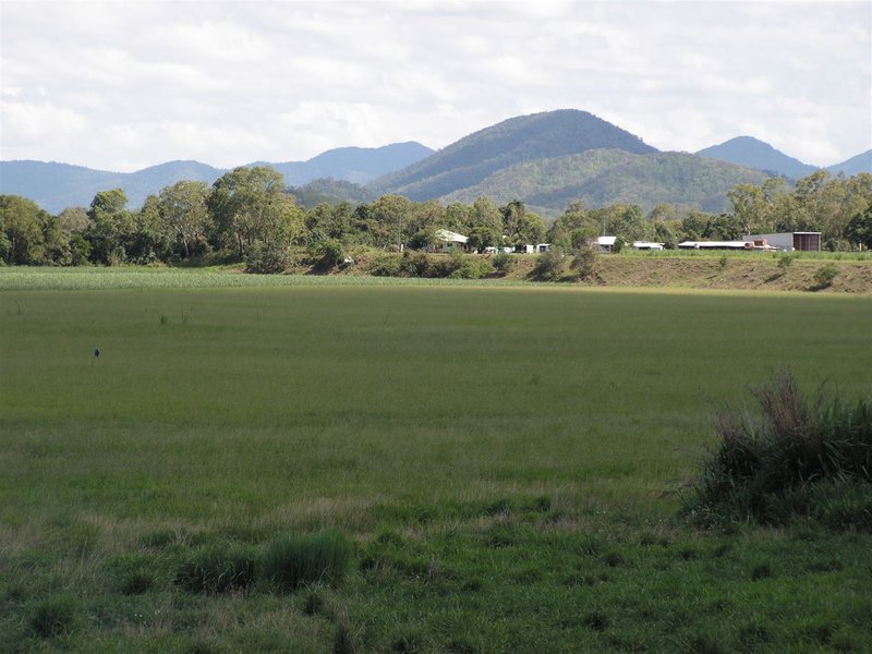 Photo - Lot 2 Olivettas Road, Bloomsbury QLD 4799 - Image 11