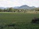 Photo - Lot 2 Olivettas Road, Bloomsbury QLD 4799 - Image 11