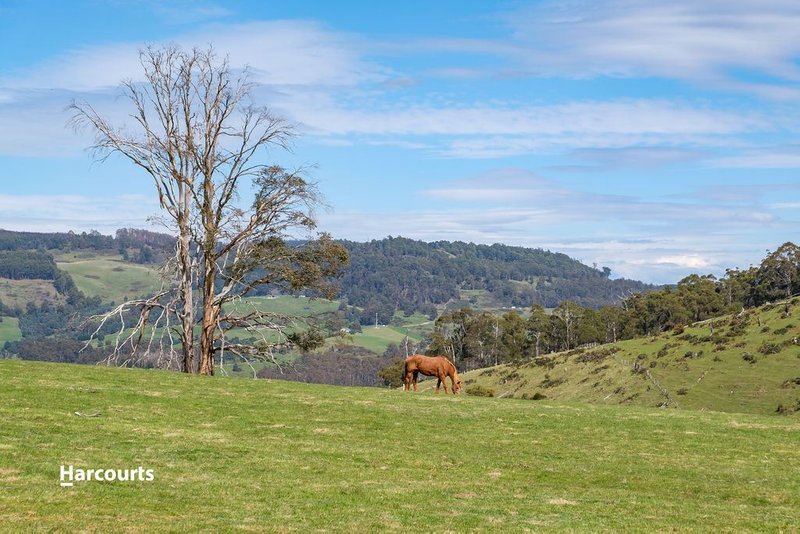 Photo - Lot 2 Pettits Road, Ranelagh TAS 7109 - Image 15