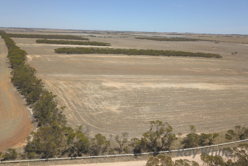 Photo - Lot 2 Pipeline Road, Arthurton SA 5572 - Image 4