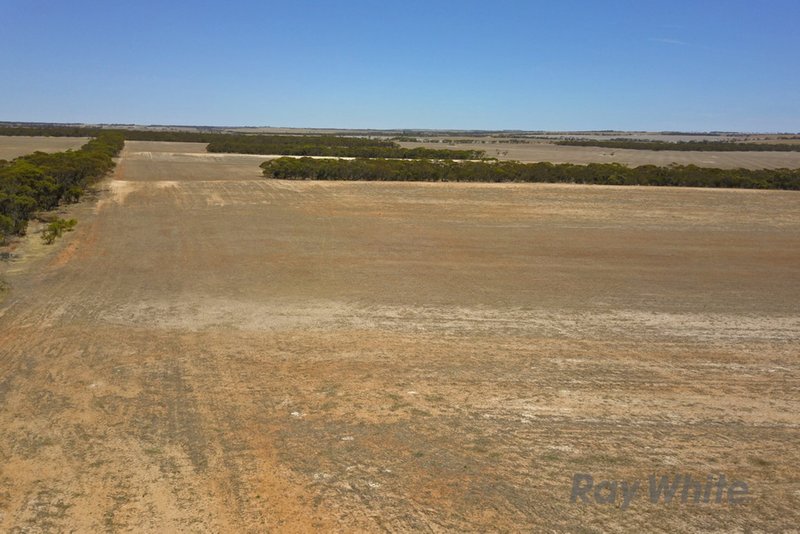 Photo - Lot 2 Pipeline Road, Arthurton SA 5572 - Image 5