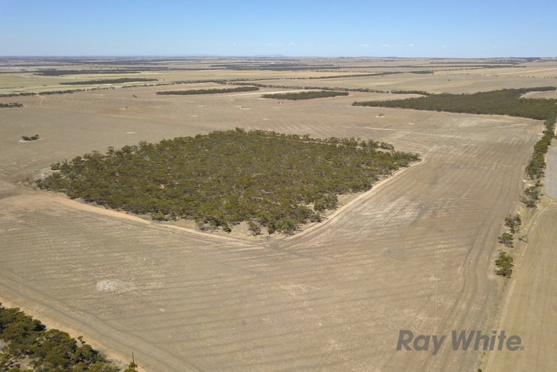 Photo - Lot 2 Pipeline Road, Arthurton SA 5572 - Image 11