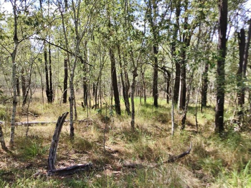 Photo - Lot 2 Proston Boondooma Road, Coverty QLD 4613 - Image 10