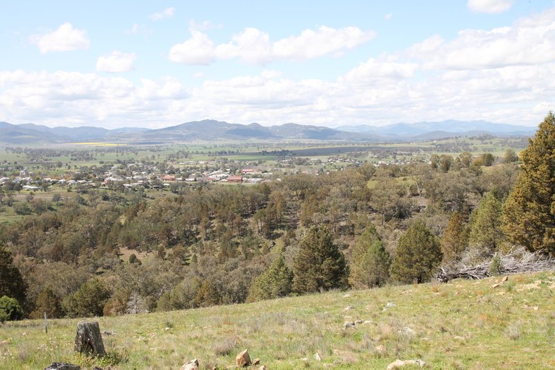 Photo - Lot 2 Ray Carter Drive, Quirindi NSW 2343 - Image 4