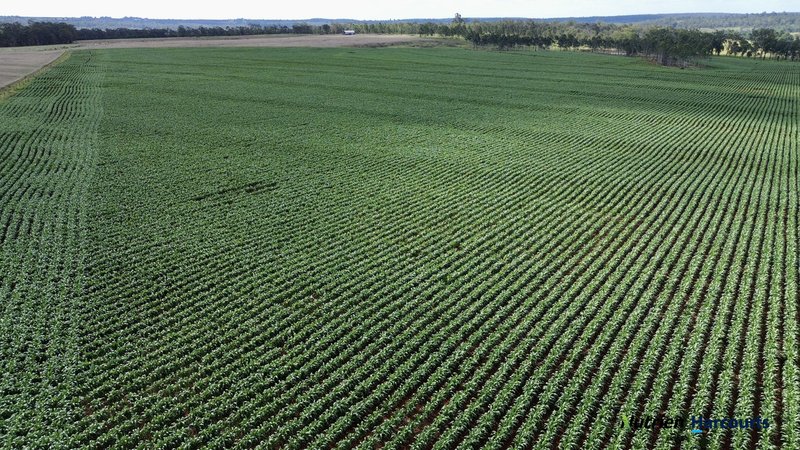 Photo - Lot 2 Reedy Creek Road, Benair QLD 4610 - Image 4