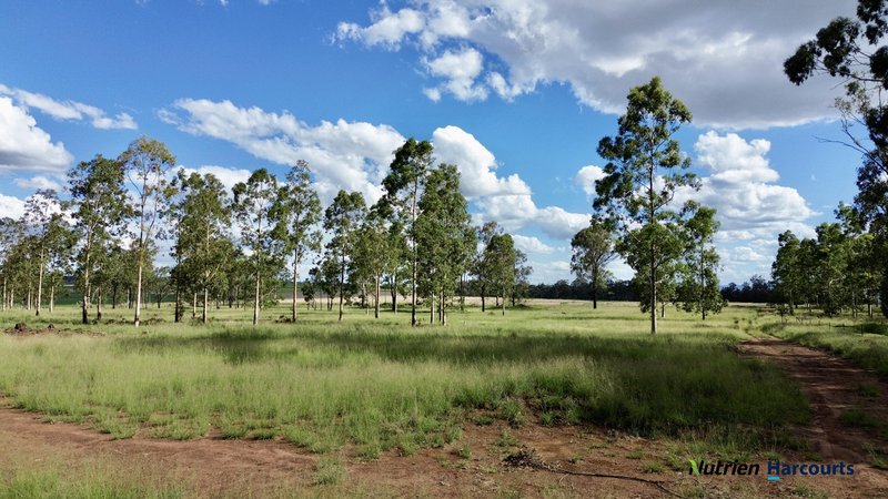 Photo - Lot 2 Reedy Creek Road, Benair QLD 4610 - Image 5