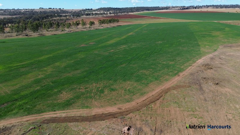 Photo - Lot 2 Reedy Creek Road, Benair QLD 4610 - Image 10