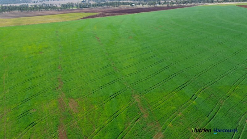 Photo - Lot 2 Reedy Creek Road, Benair QLD 4610 - Image 13