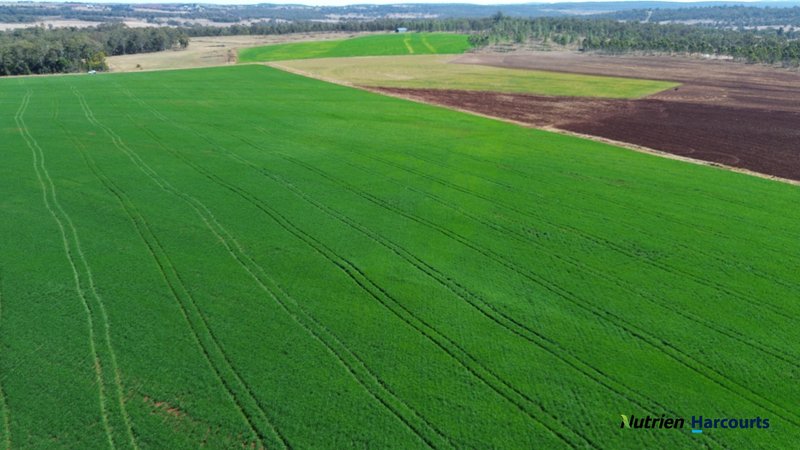Photo - Lot 2 Reedy Creek Road, Benair QLD 4610 - Image 14