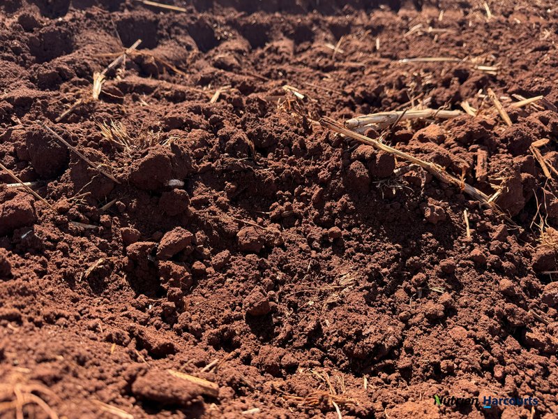 Photo - Lot 2 Reedy Creek Road, Benair QLD 4610 - Image 22