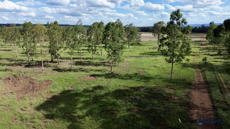 Photo - Lot 2 Reedy Creek Road, Benair QLD 4610 - Image 25