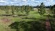 Photo - Lot 2 Reedy Creek Road, Benair QLD 4610 - Image 25