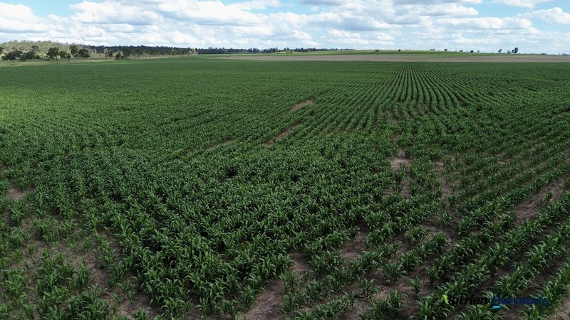 Photo - Lot 2 Reedy Creek Road, Benair QLD 4610 - Image 28