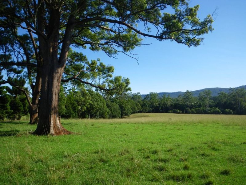 Photo - Lot 2 Rivendell Mews Off Orara Street, Nana Glen NSW 2450 - Image 4