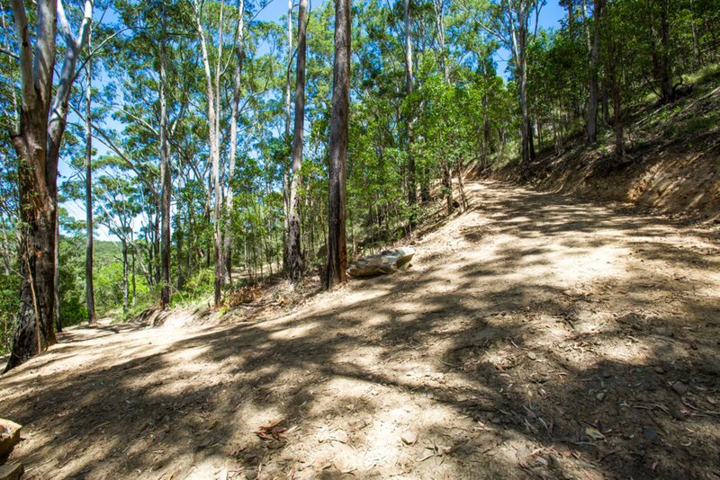 Photo - Lot 2 Round Mountain Road, Round Mountain NSW 2484 - Image 6