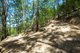 Photo - Lot 2 Round Mountain Road, Round Mountain NSW 2484 - Image 6