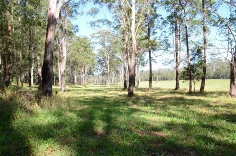 Photo - Lot 2 Ryans Road, Lake Innes NSW 2446 - Image 8