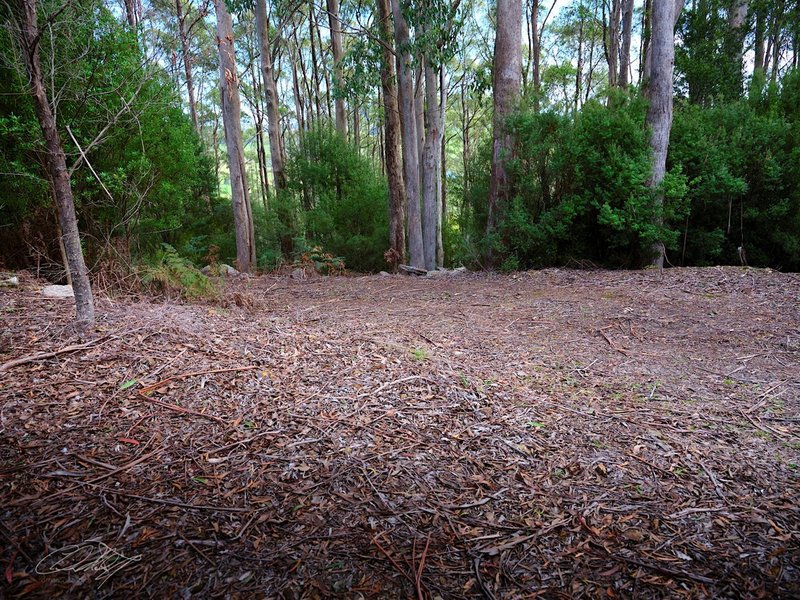 Photo - Lot 2 Sarah Road, Riana TAS 7316 - Image 3