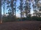 Photo - Lot 2 Sarah Road, Riana TAS 7316 - Image 11