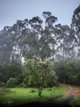 Photo - Lot 2 Sarah Road, Riana TAS 7316 - Image 13