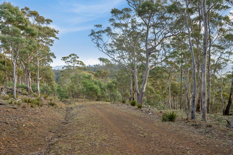 Photo - Lot 2 Stonehenge Road, Stonehenge TAS 7120 - Image 3