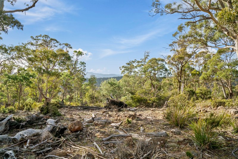 Photo - Lot 2 Stonehenge Road, Stonehenge TAS 7120 - Image 7