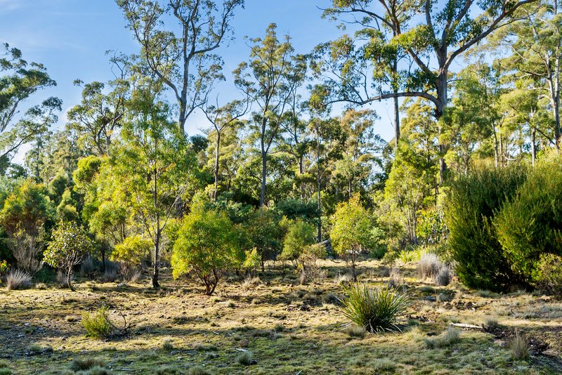 Photo - Lot 2 Stonehenge Road, Stonehenge TAS 7120 - Image 9