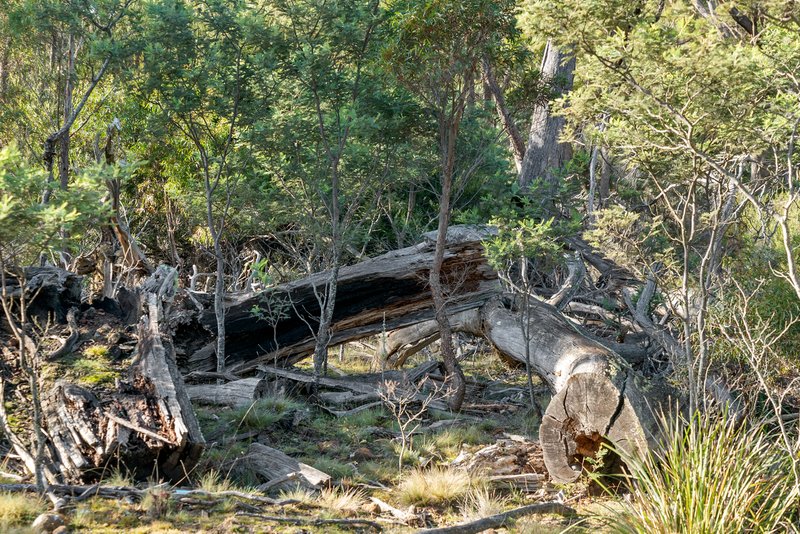 Photo - Lot 2 Stonehenge Road, Stonehenge TAS 7120 - Image 11