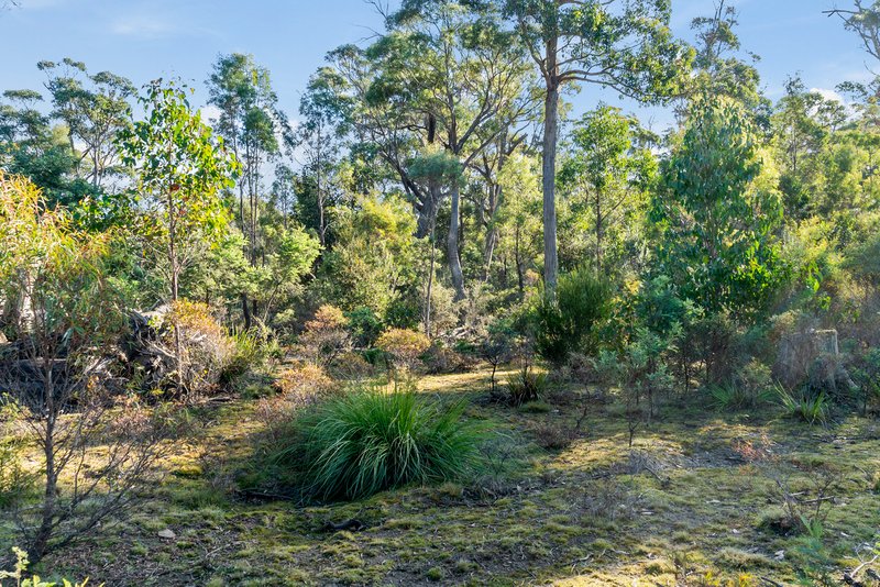 Photo - Lot 2 Stonehenge Road, Stonehenge TAS 7120 - Image 12