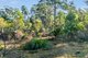 Photo - Lot 2 Stonehenge Road, Stonehenge TAS 7120 - Image 12