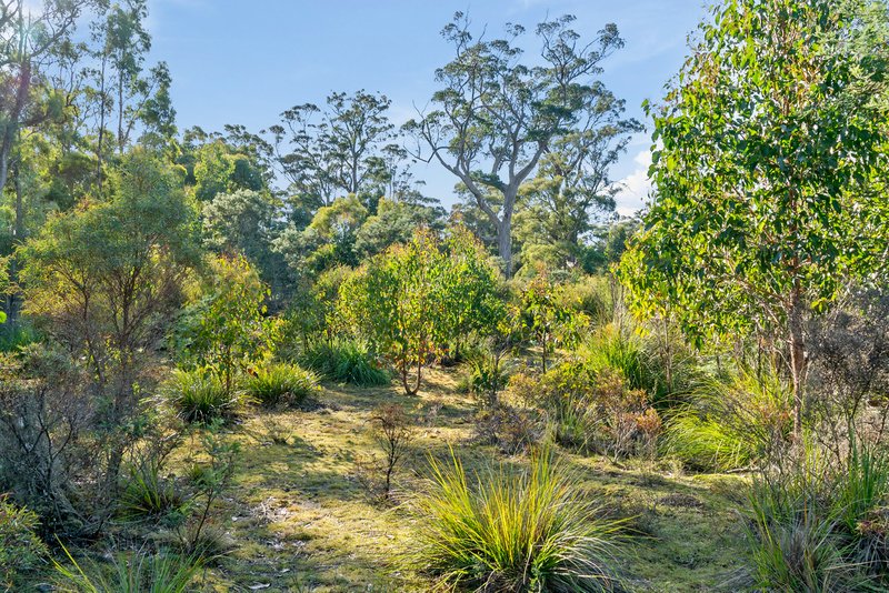 Photo - Lot 2 Stonehenge Road, Stonehenge TAS 7120 - Image 13