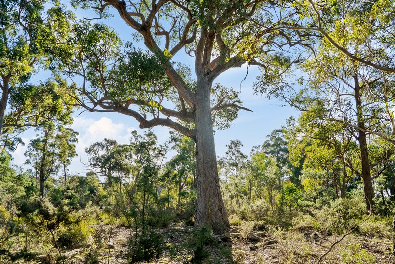 Photo - Lot 2 Stonehenge Road, Stonehenge TAS 7120 - Image 15