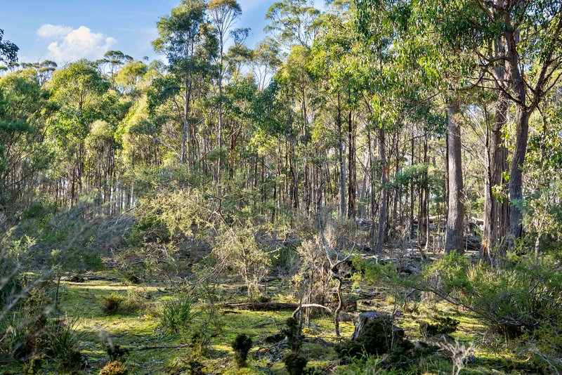 Photo - Lot 2 Stonehenge Road, Stonehenge TAS 7120 - Image 17