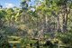 Photo - Lot 2 Stonehenge Road, Stonehenge TAS 7120 - Image 17