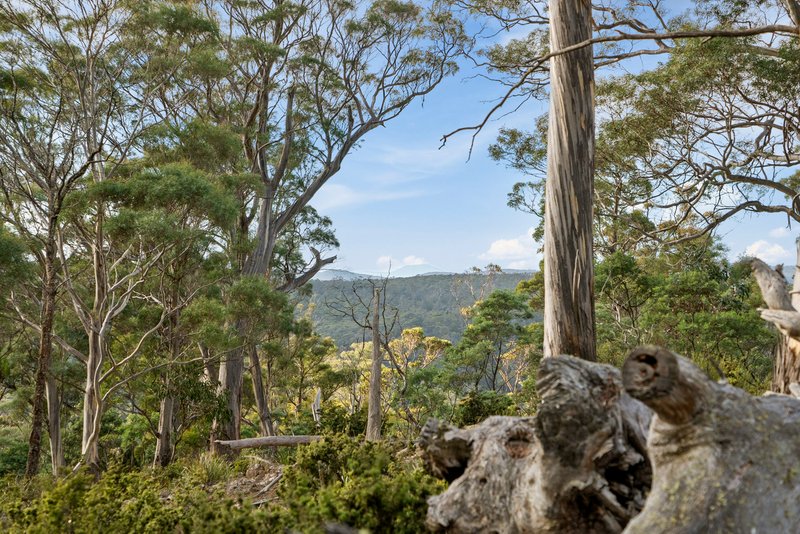 Photo - Lot 2 Stonehenge Road, Stonehenge TAS 7120 - Image 19