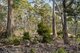 Photo - Lot 2 Stonehenge Road, Stonehenge TAS 7120 - Image 23