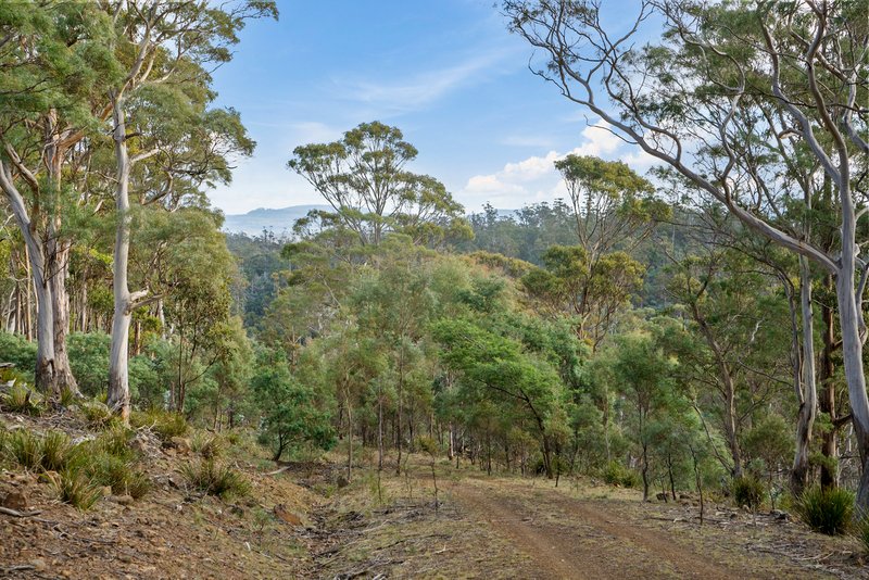 Photo - Lot 2 Stonehenge Road, Stonehenge TAS 7120 - Image 24