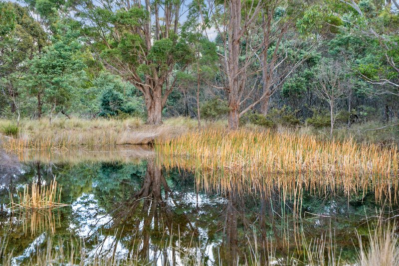 Photo - Lot 2 Stonehenge Road, Stonehenge TAS 7120 - Image 28