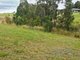 Photo - Lot 2 Thoroughbred Close, Nana Glen NSW 2450 - Image 10