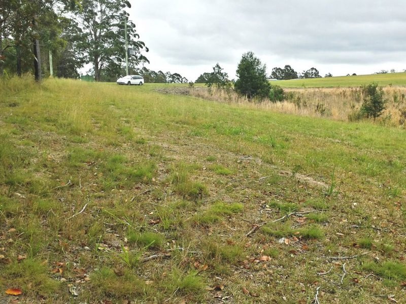 Photo - Lot 2 Thoroughbred Close, Nana Glen NSW 2450 - Image 11