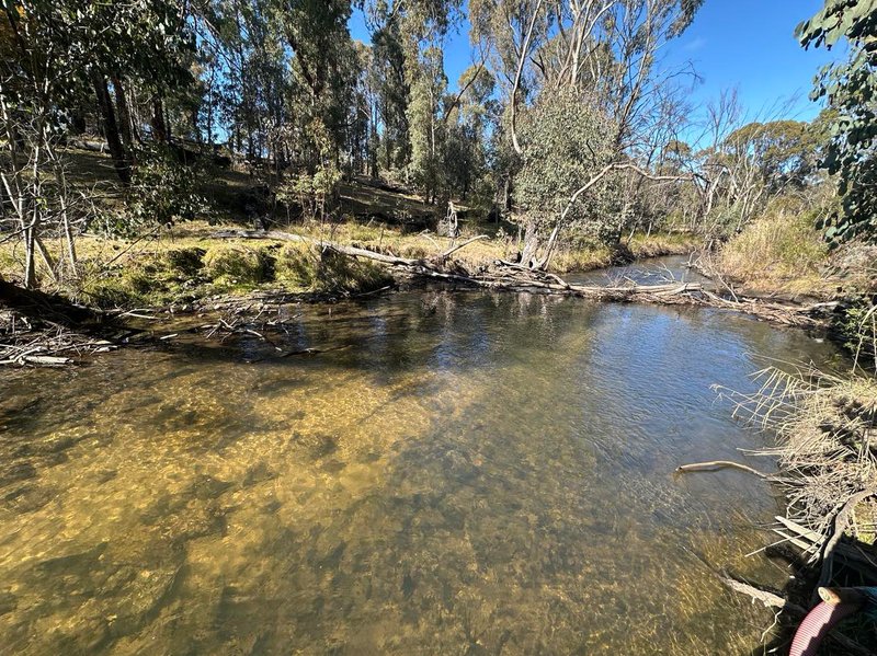 Photo - Lot 2 Tooma Road, Tumbarumba NSW 2653 - Image 7