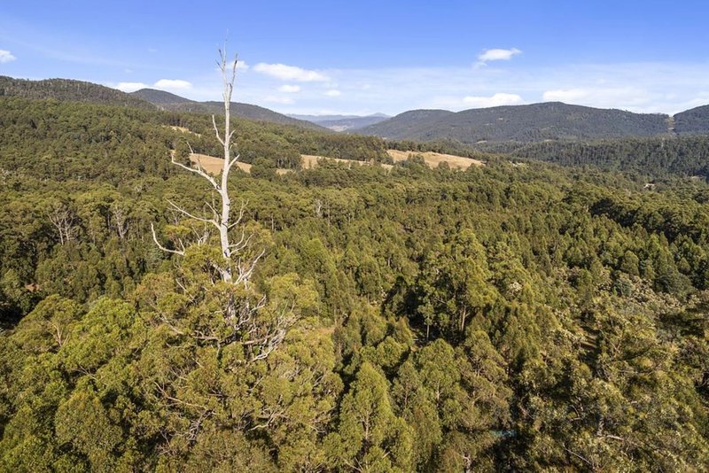 Photo - Lot 2 Umfrevilles Road, Kaoota TAS 7150 - Image 12