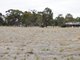 Photo - Lot 2 Wards Road, Haven VIC 3401 - Image 4