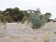 Photo - Lot 2 Wards Road, Haven VIC 3401 - Image 6