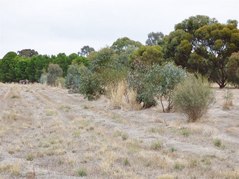 Photo - Lot 2 Wards Road, Haven VIC 3401 - Image 10